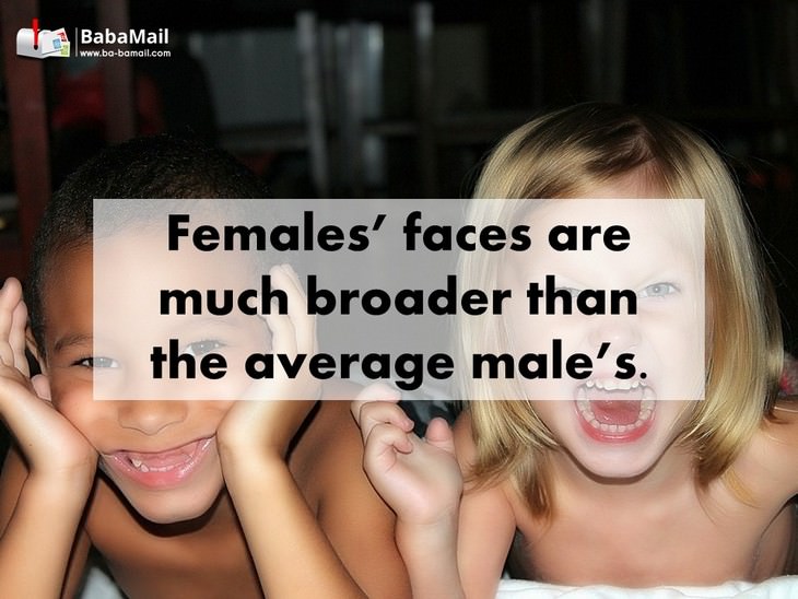 males, females, biology, facts
