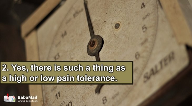 pain facts
