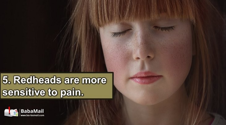 pain facts