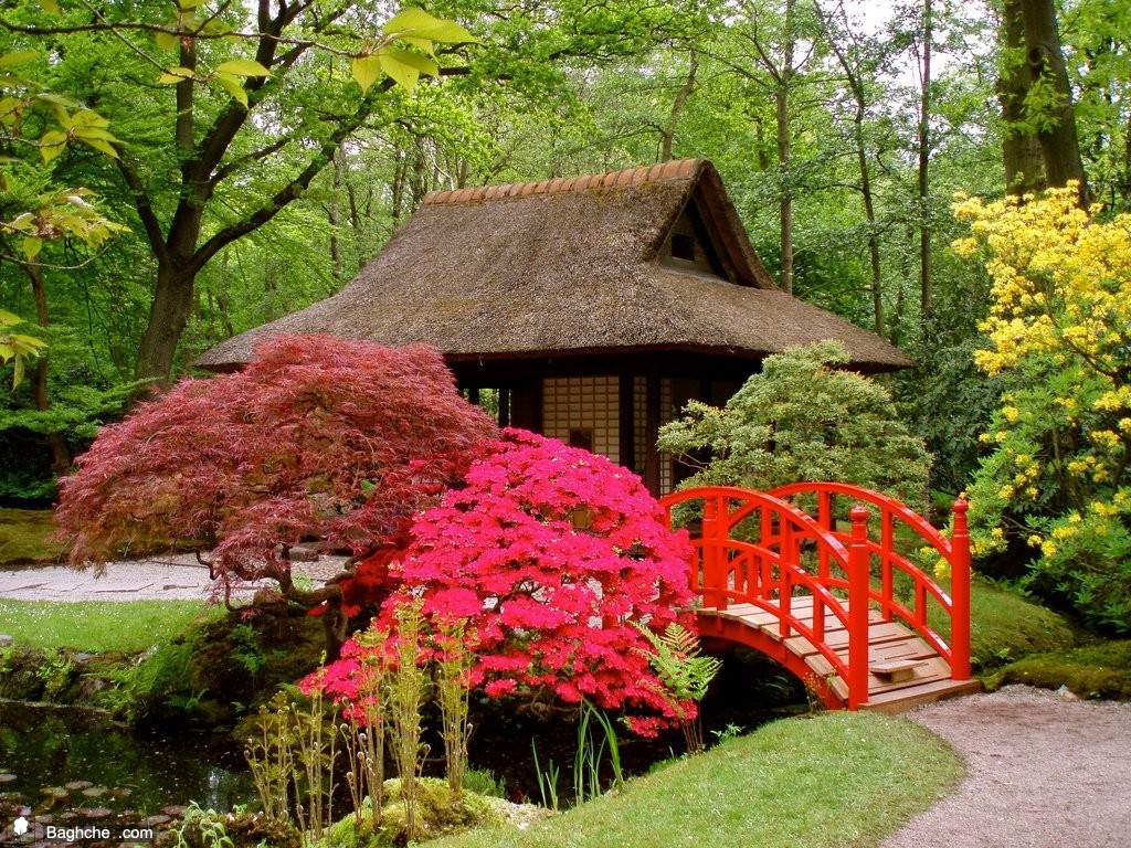 I Ve Never Seen Gardens As Beautiful As Japan S