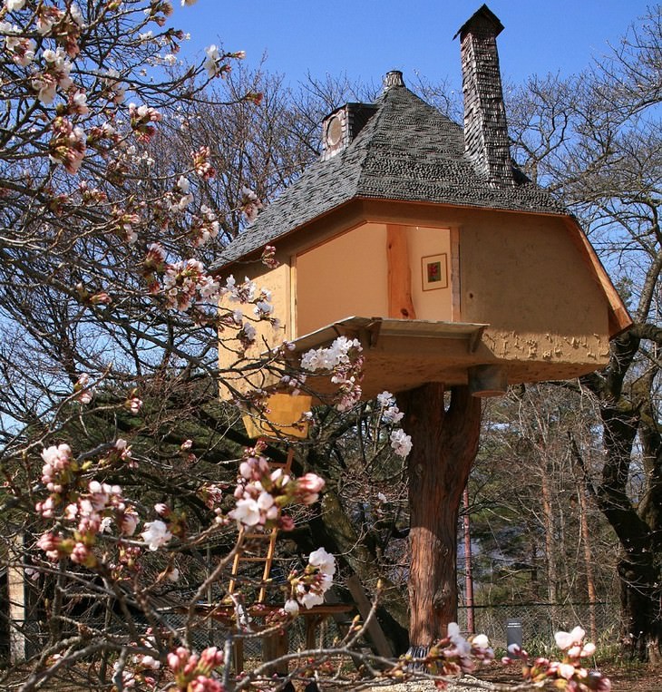 architecture, house building, construction, Japan