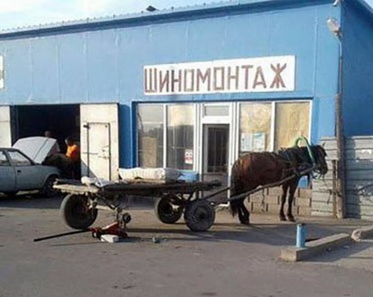 Russia, funny, photos, weird