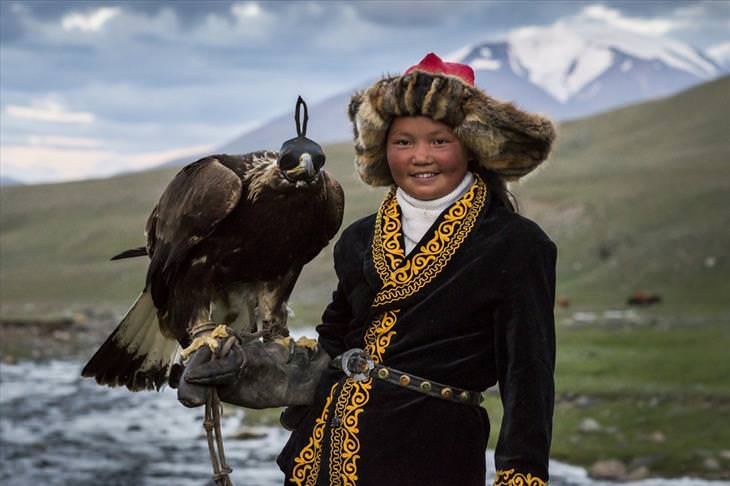 eagles, facts, amazing, beautiful, photos