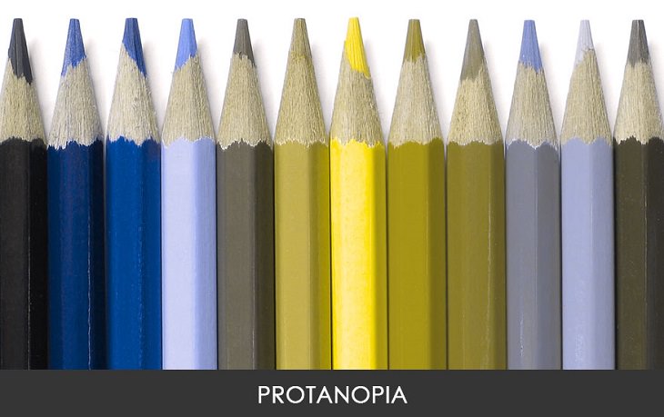 This is How People with Color Blindness See
