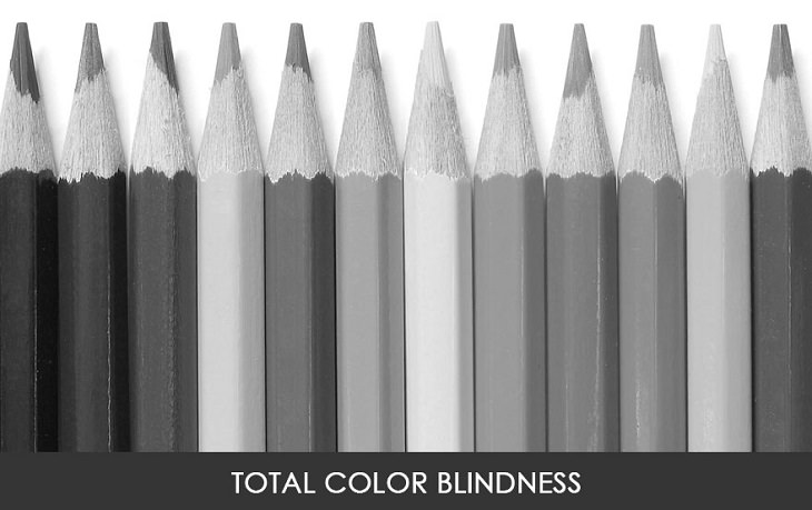 This is How People with Color Blindness See