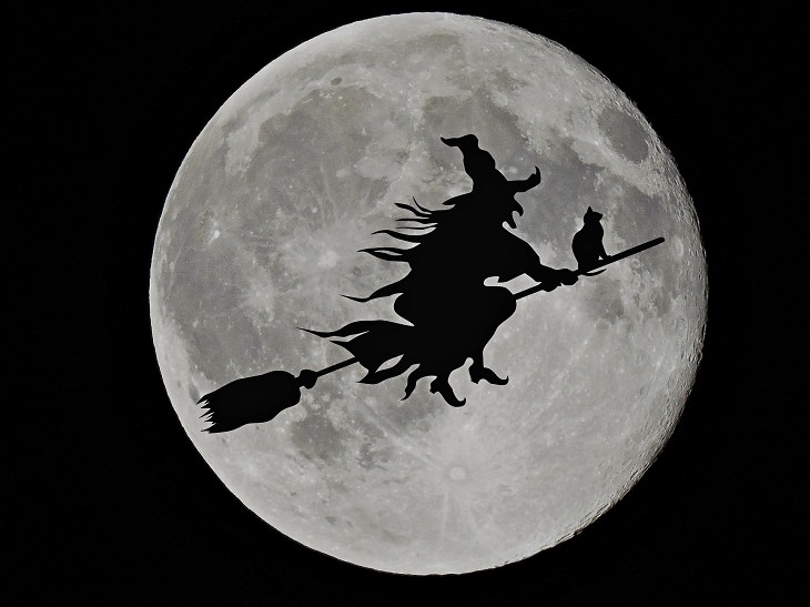 information about cats - cat and witch flying on broomstick together