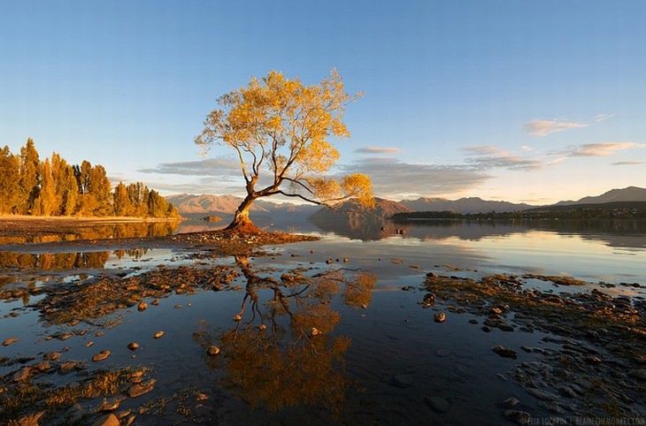  reflejos agua Nueza Zelanda