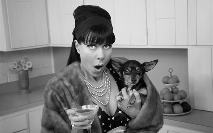 1950s housewife with Chihuahua