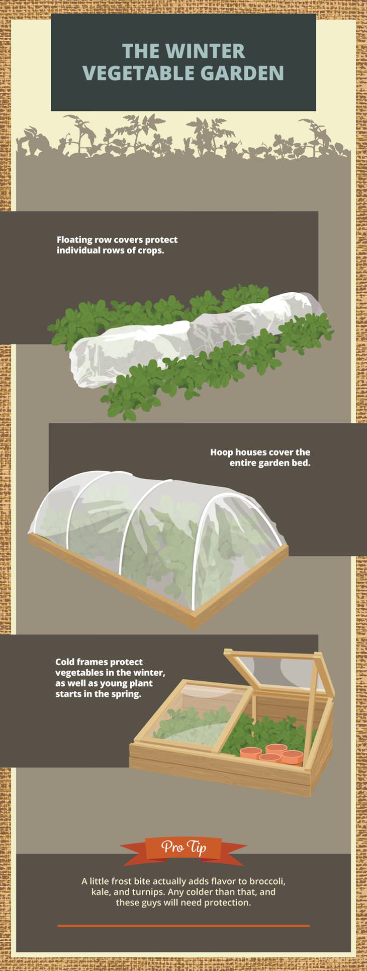 protecting your plants