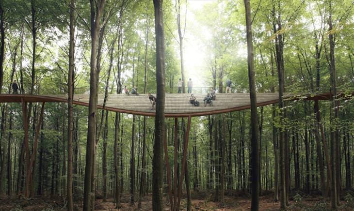 camp adventure treetop experience