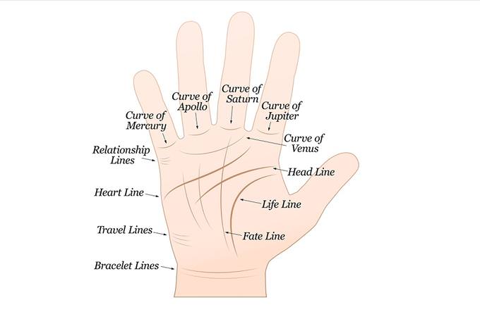 palm reading guide