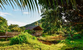 hut in Hawaii