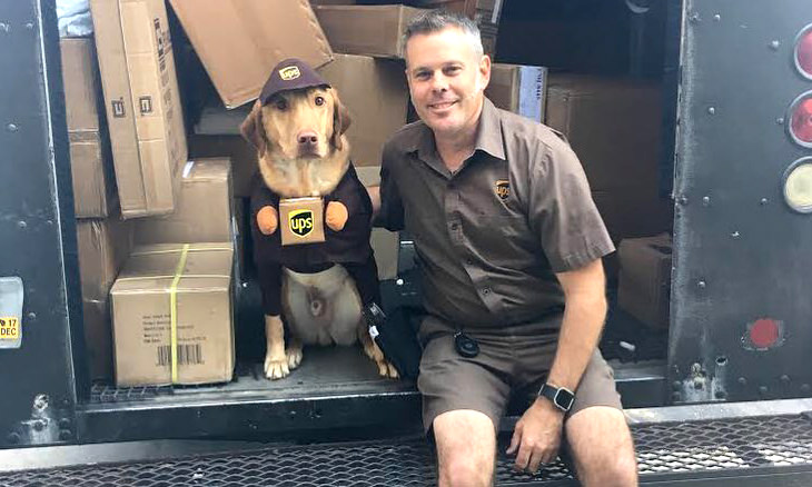 Visit UPS Dogs to See Who the Drivers Meet!