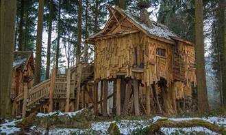 treehouse in the woods