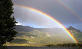 rainbow over field