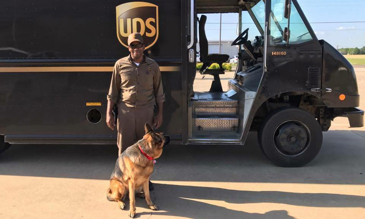 Visit UPS Dogs to See Who the Drivers Meet!