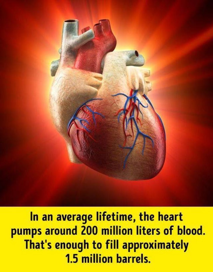 17 Intriguing Facts About the Human Body