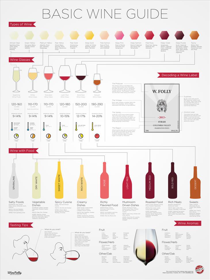 A Beginner's Guide to Wine