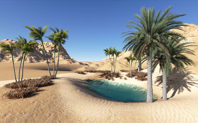 desert oasis