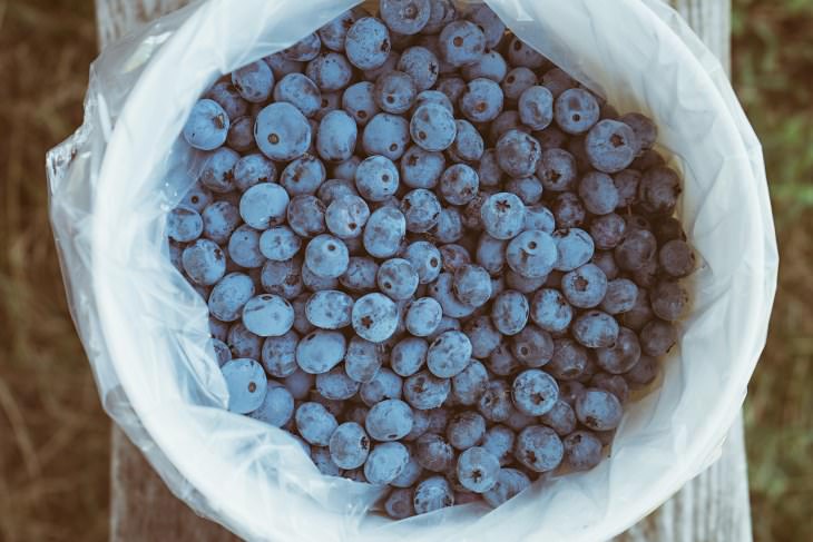 Wow! Who Knew That Blueberries Were So Good For You?