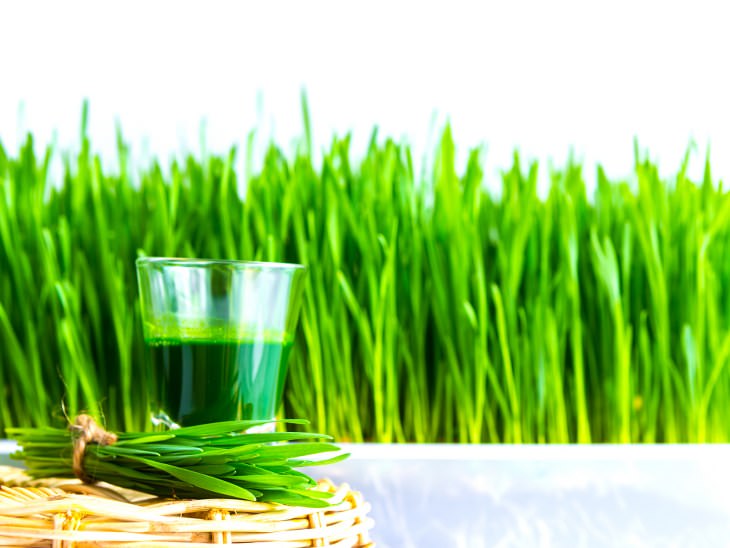Here's Why Wheatgrass Is the King of All Superfoods!