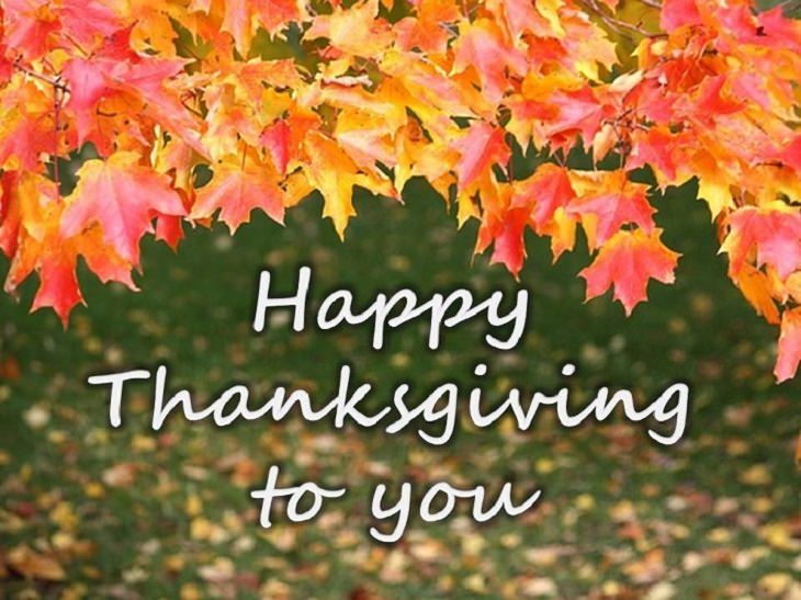 Thanksgiving Greetings to Share With Loved Ones