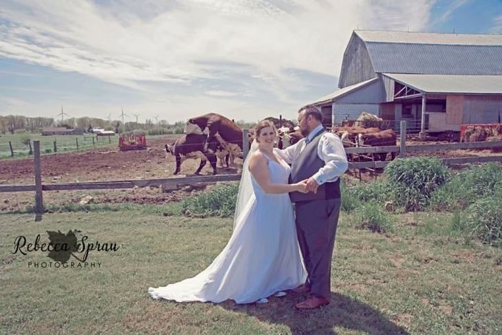 20 Hilarious Wedding Photobombs