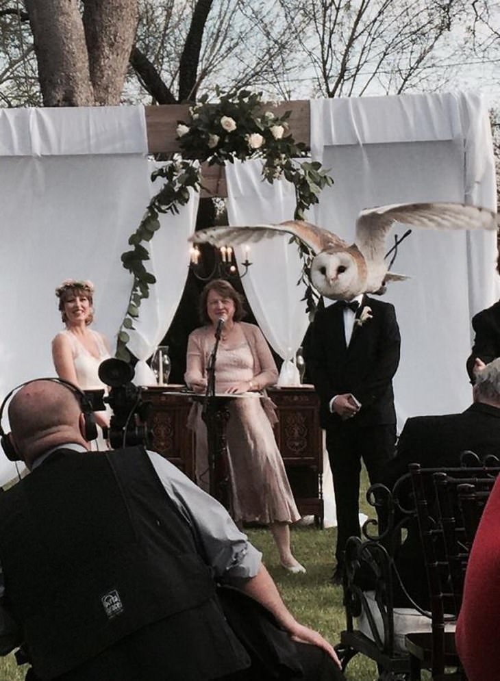 20 Hilarious Wedding Photobombs