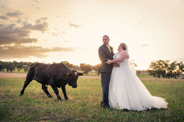 20 Hilarious Wedding Photobombs