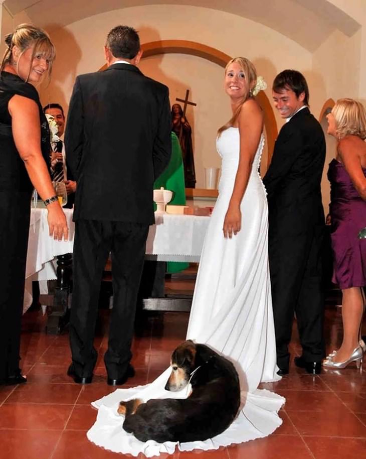 20 Hilarious Wedding Photobombs