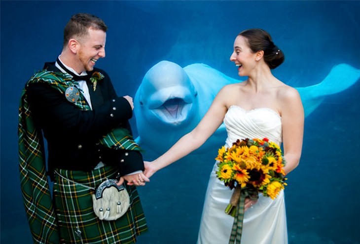 20 Hilarious Wedding Photobombs