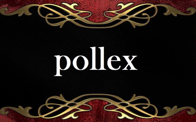 'pollex' on formal background