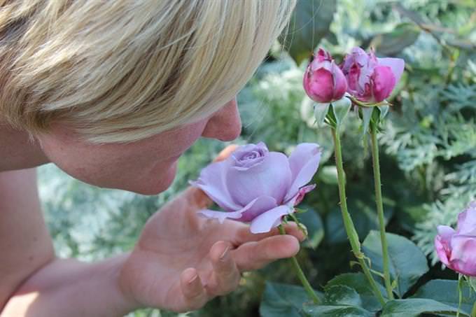 woman smelling roses