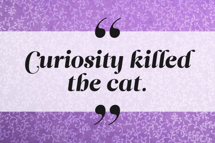 Curiosity killed the cat.