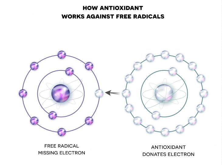 How Free Radicals Damage Your Body & How to Stop Them...