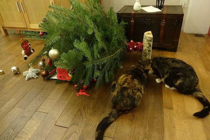 Cats and Dogs Destroy Christmas