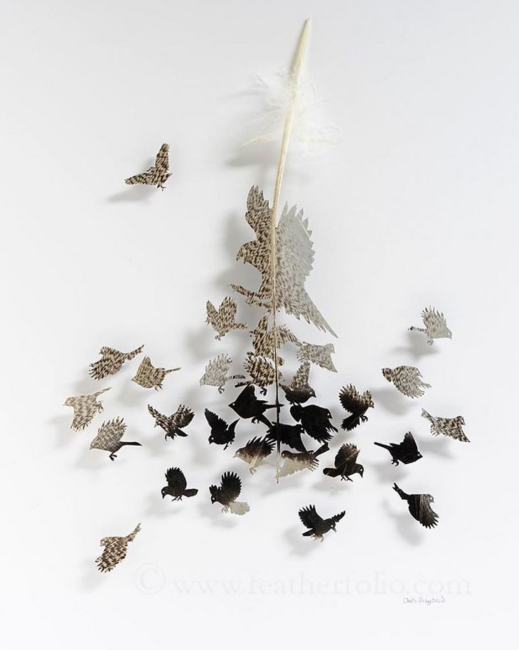 Chris Maynard's Outstanding Feather Art