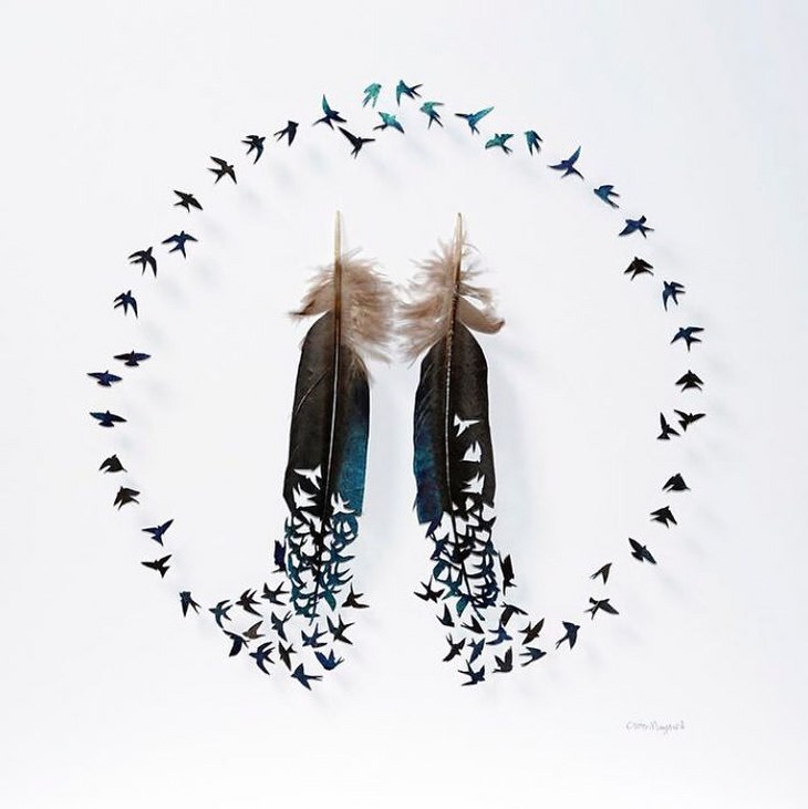 Chris Maynard's Outstanding Feather Art