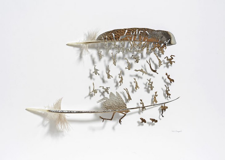 Chris Maynard's Outstanding Feather Art