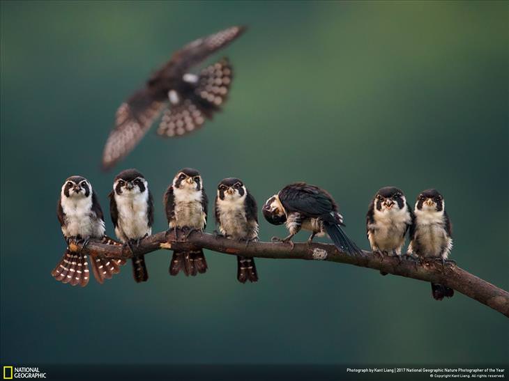 15 Outstanding Nature Photos