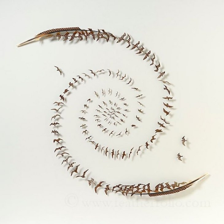 Chris Maynard's Outstanding Feather Art