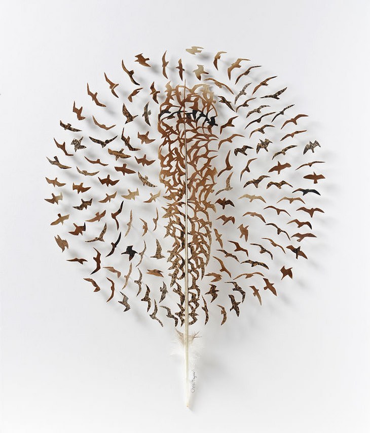 Chris Maynard's Outstanding Feather Art