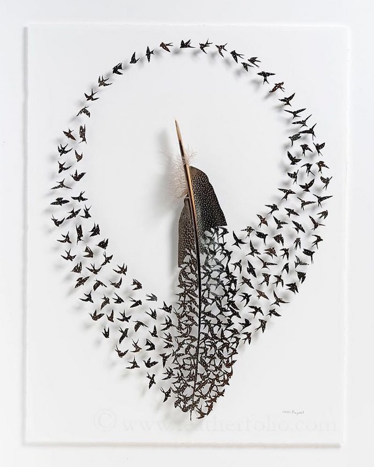 Chris Maynard's Outstanding Feather Art