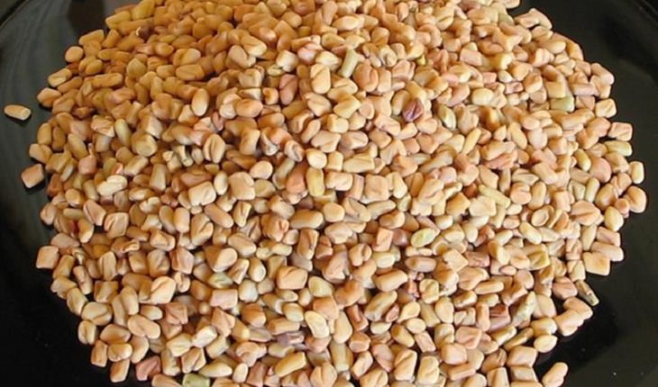 fenugreek