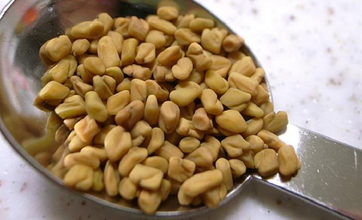 fenugreek