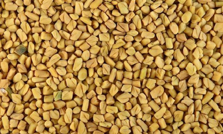 fenugreek