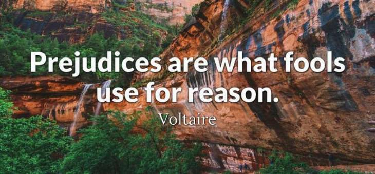 Voltaire - Prejudices are what fools use for reason.