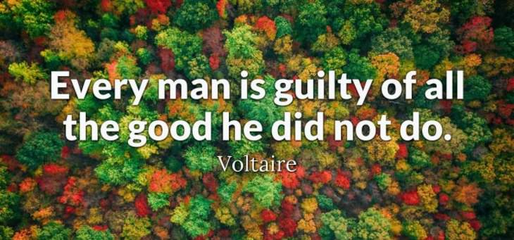 Voltaire - Every man is guilty of all the good he did not do.