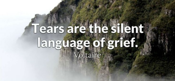 Voltaire - Tears are the silent language of grief.