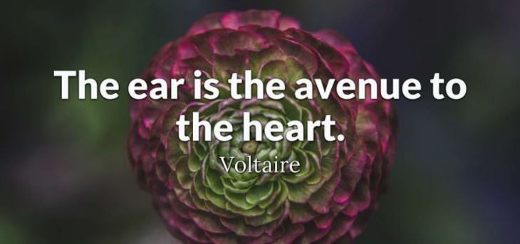Voltaire - The ear is the avenue to the heart.